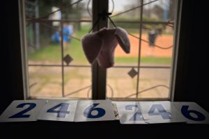 Číst dál: 1.kolo II.ligy: TJ Slavoj Vrdy vs TJ Sokol Zbečník