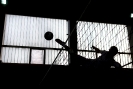 2017 - Futnet Womens and U21 WC in Nymburk_11