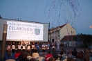 International Summer Jokgu Tournament in the city of Čelákovice_66