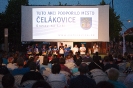International Summer Jokgu Tournament in the city of Čelákovice_69